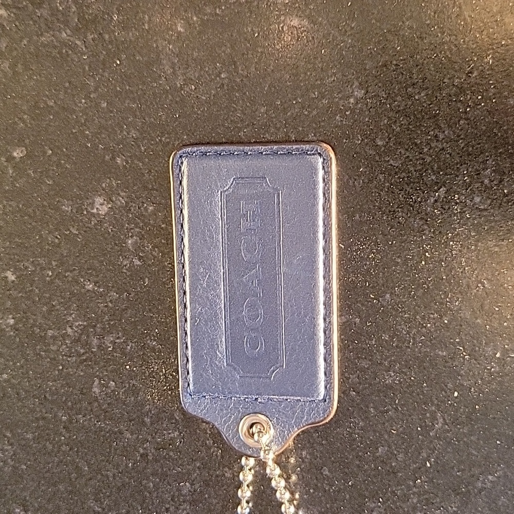 Coach Exotic Embossed Python Leather Sierria Carr… - image 5